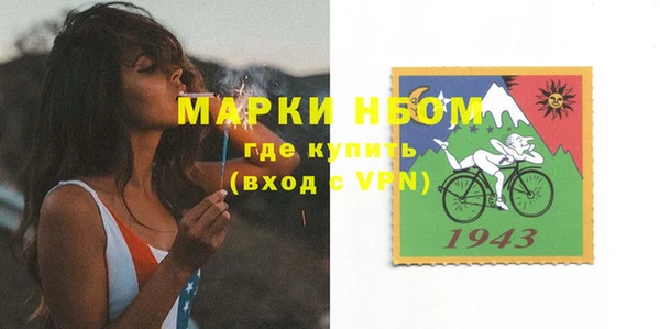 гидра Ельня