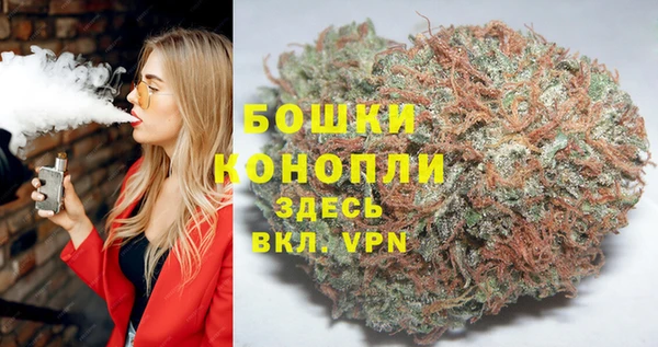 дмт Елизово