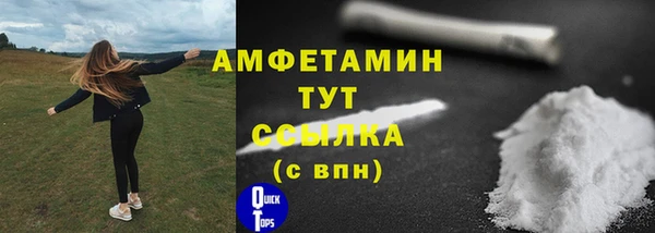 гидра Ельня