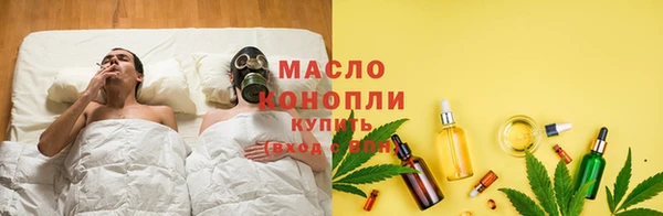 дмт Елизово