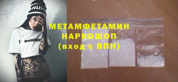 гидра Ельня