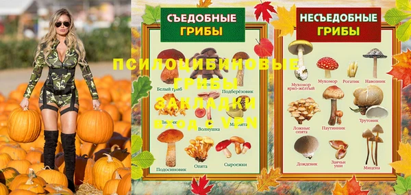 гидра Ельня