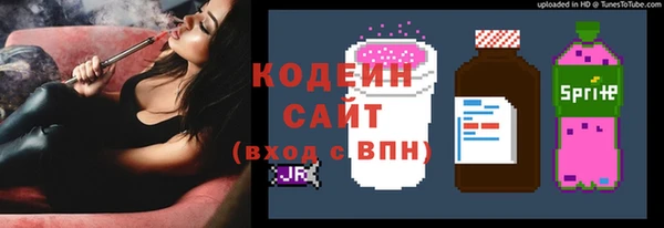 дмт Елизово