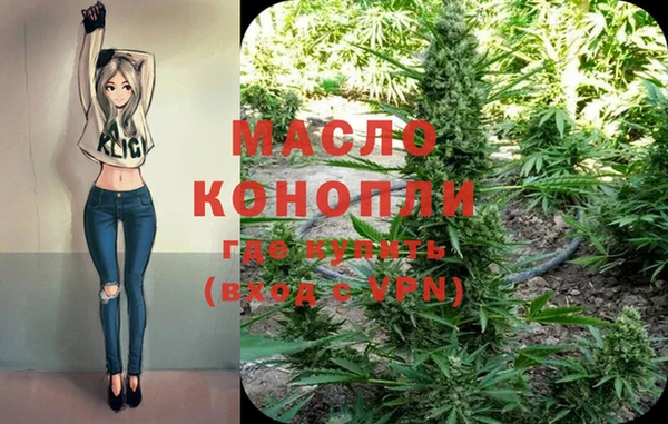 гидра Ельня