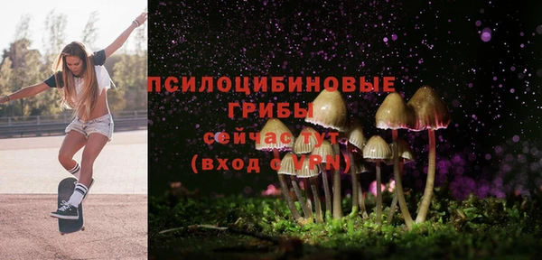 дмт Елизово