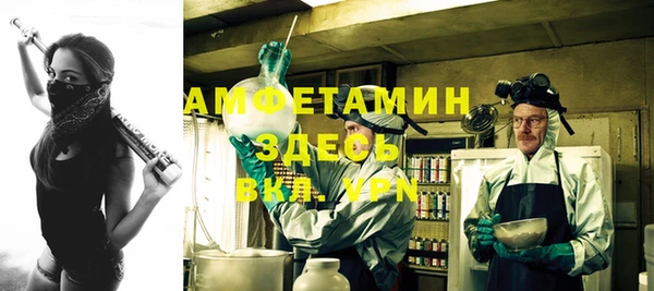 гидра Ельня