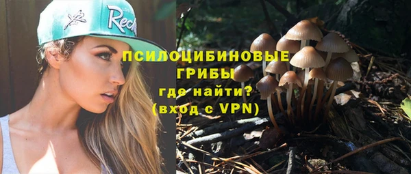 гидра Ельня