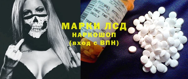 гидра Ельня