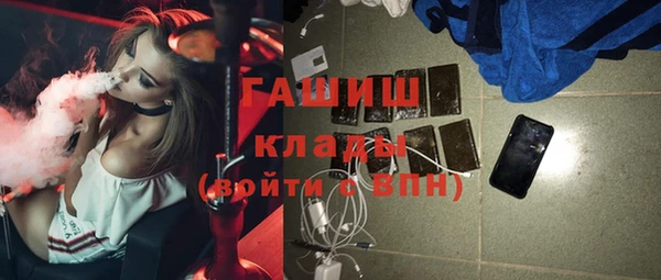 гидра Ельня