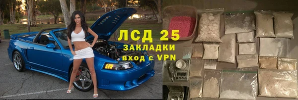 гидра Ельня