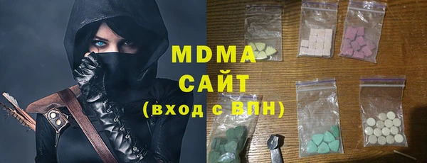 гидра Ельня