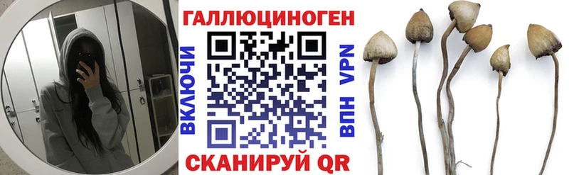 hydra ССЫЛКА  Чехов  Псилоцибиновые грибы Psilocybine cubensis 